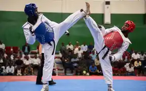 Combat Sports 1
