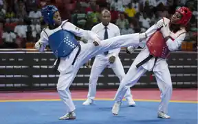 Combat Sports 2