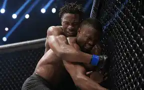 Combat Sports 3
