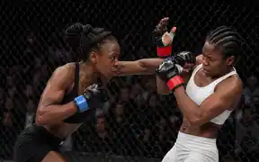 Combat Sports 4