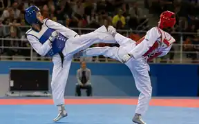 Combat Sports 5