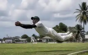 Cricket 3