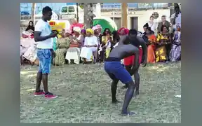 Wrestling 4