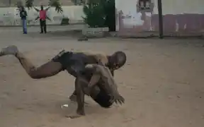 Wrestling 5